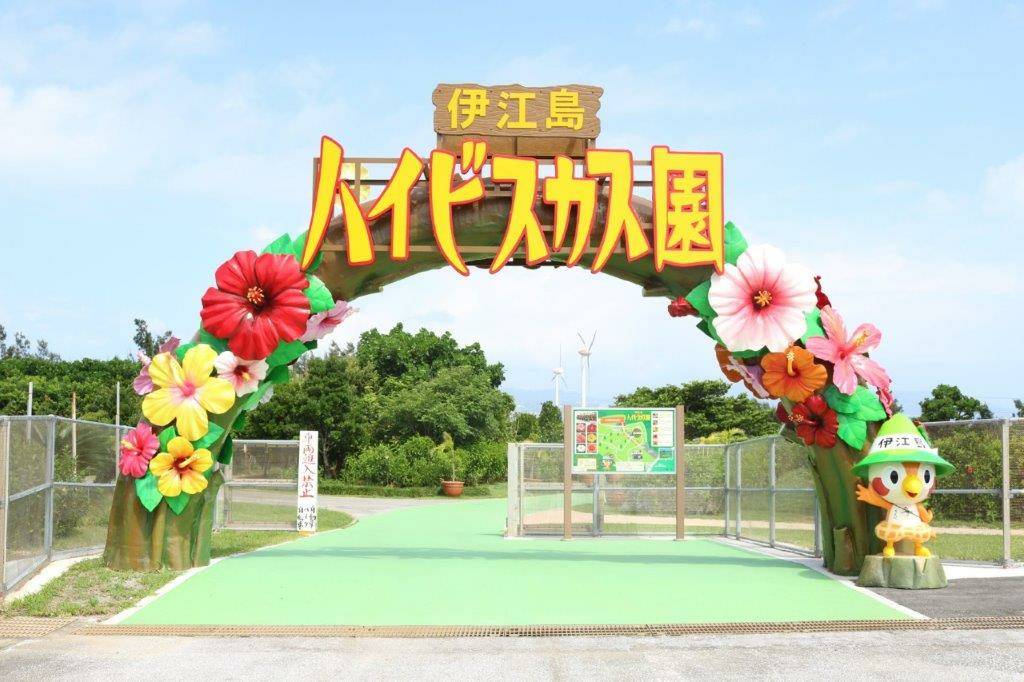 伊江島　ハイビスカス園