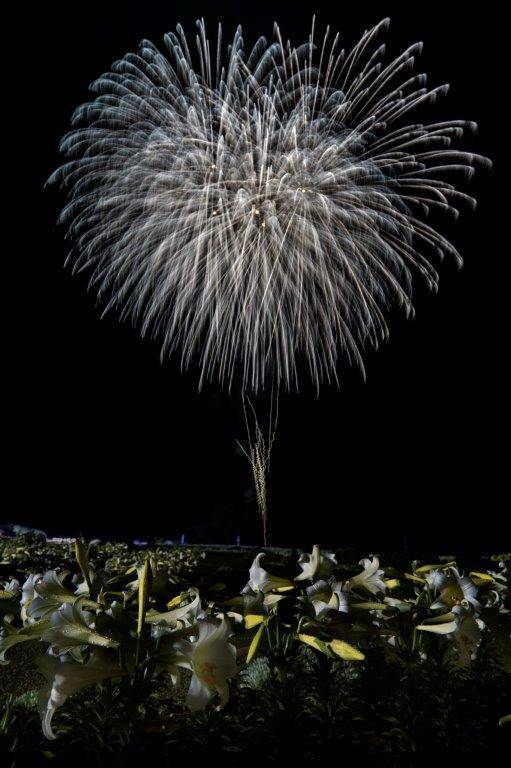 伊江島　ゆり祭り